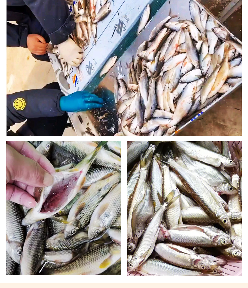 С~(y)C(j)F(xin)(chng)~(y)(sh)